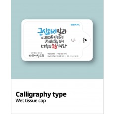 손세정 향균물티슈 5매 / 10매