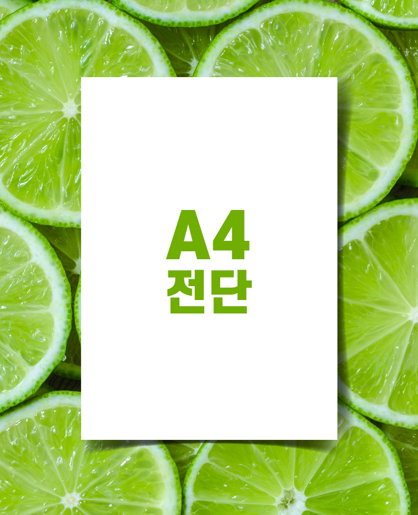 A4전단