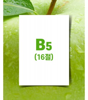 B5전단(아트지 90g) 16절