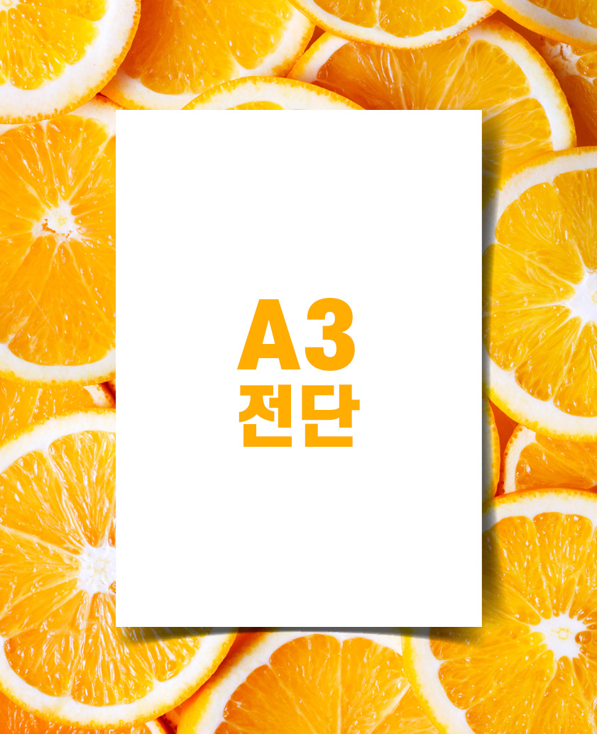 8절전단(아트지 90g)