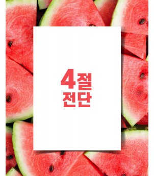 4절전단(아트지 90g)