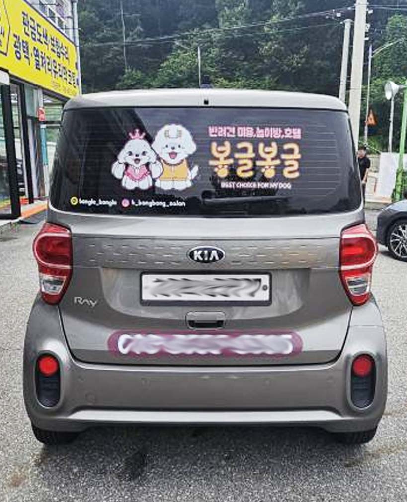 소형차랩핑 B타입