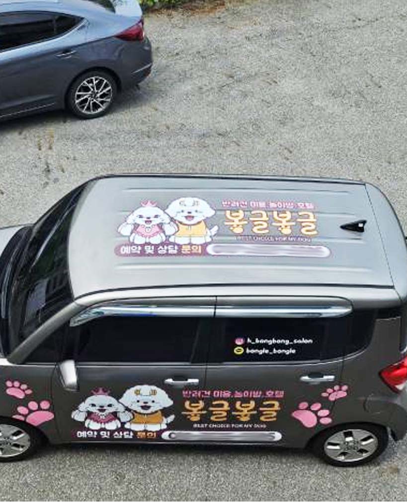 소형차랩핑 B타입