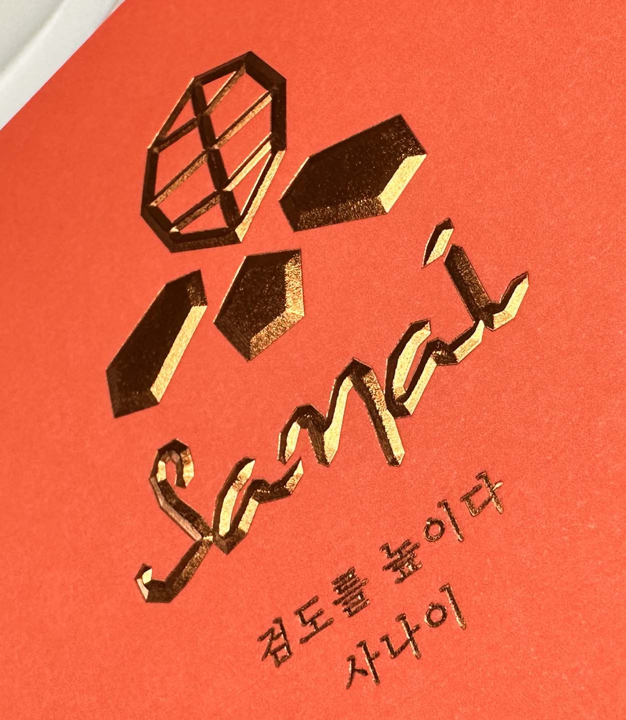 후발선지 고양이