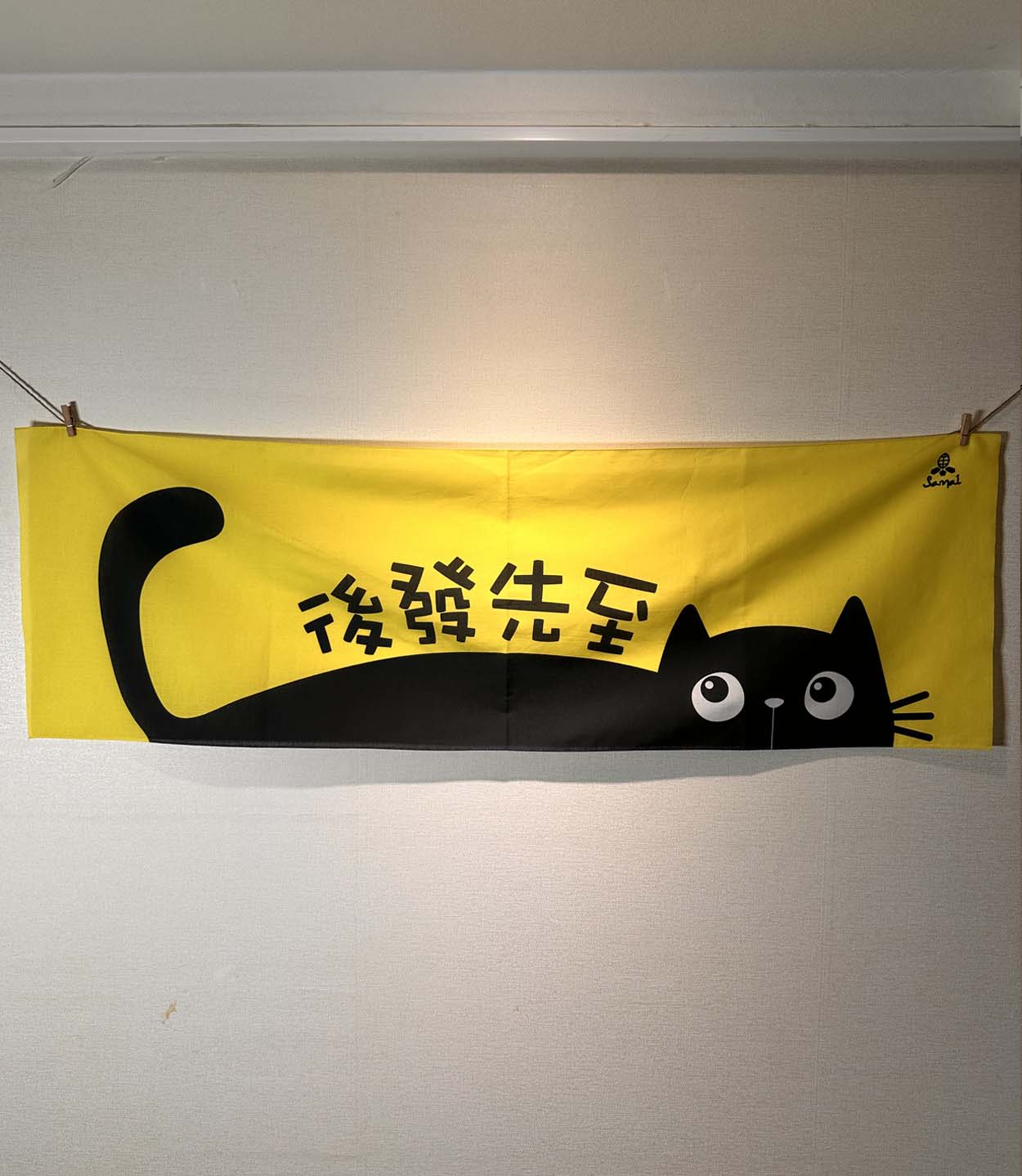 후발선지 고양이