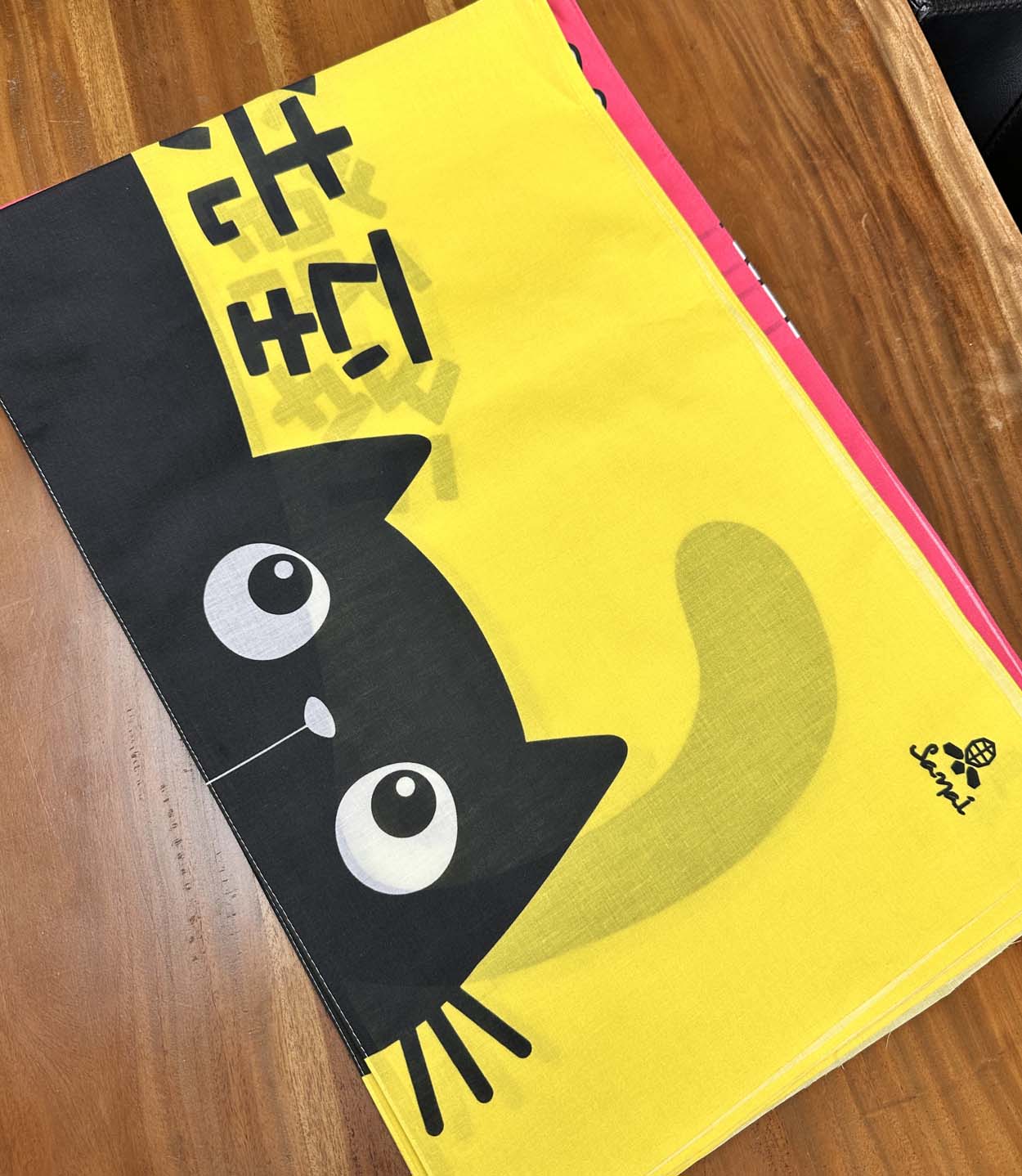 후발선지 고양이