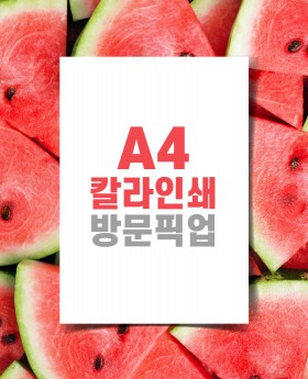 A4 칼라인쇄 (모조지 120g) / 방문픽업